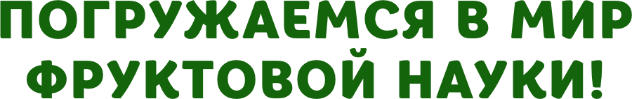 Text 1